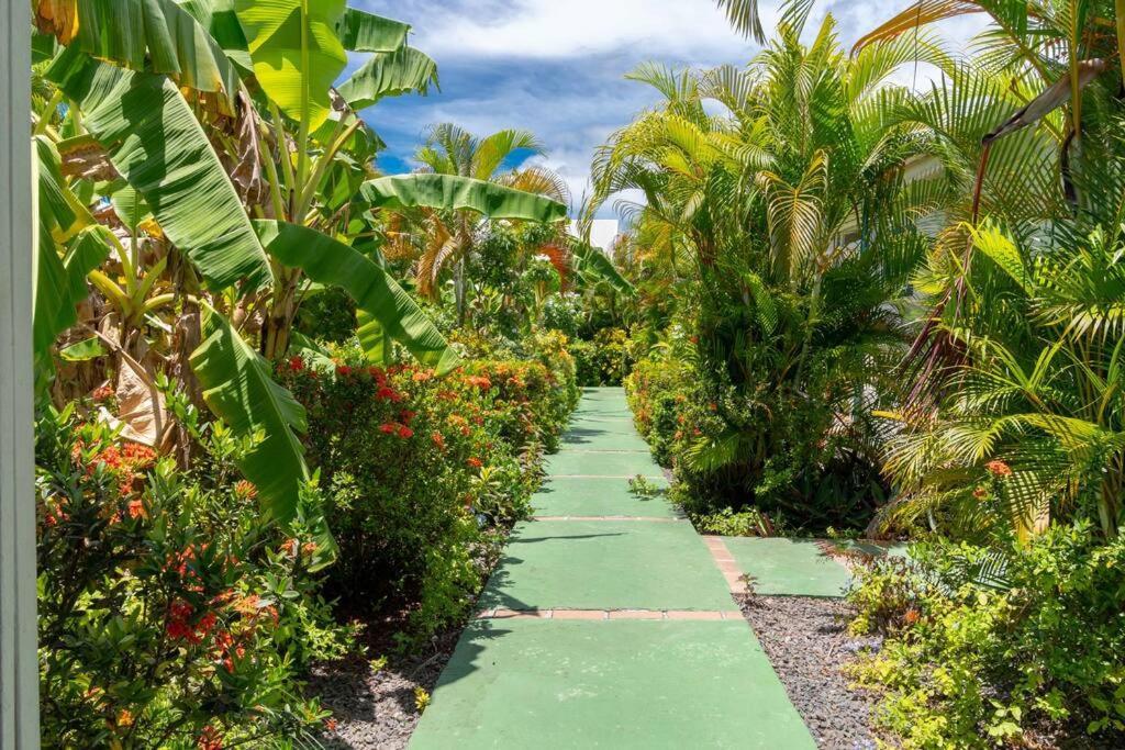 Perle Des Caraibes, Bungalow Moderne N°18 Le Gosier  Extérieur photo